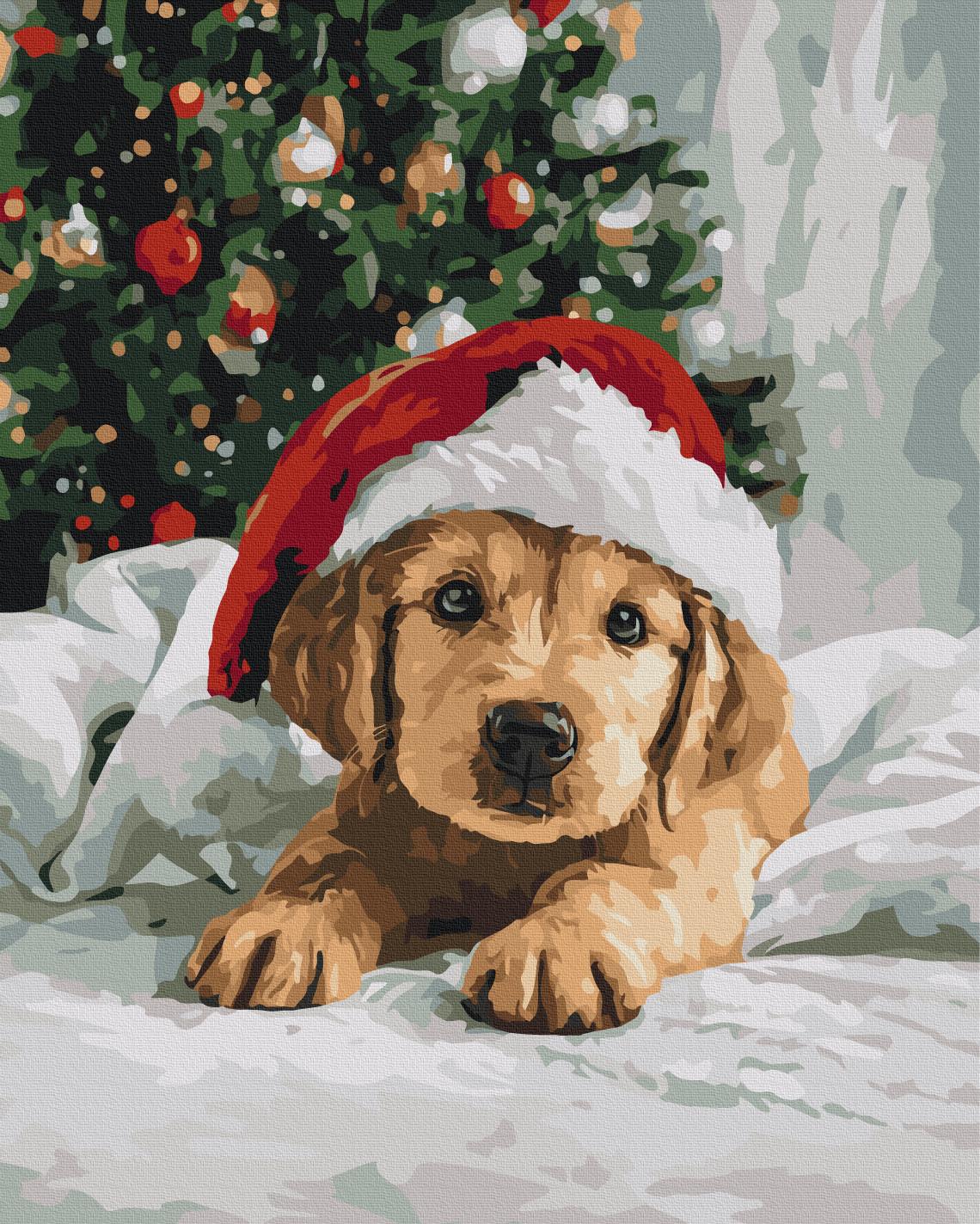 Картина по номерам Brushme Пушистый новогодний друг 40x50 см (BS54505)