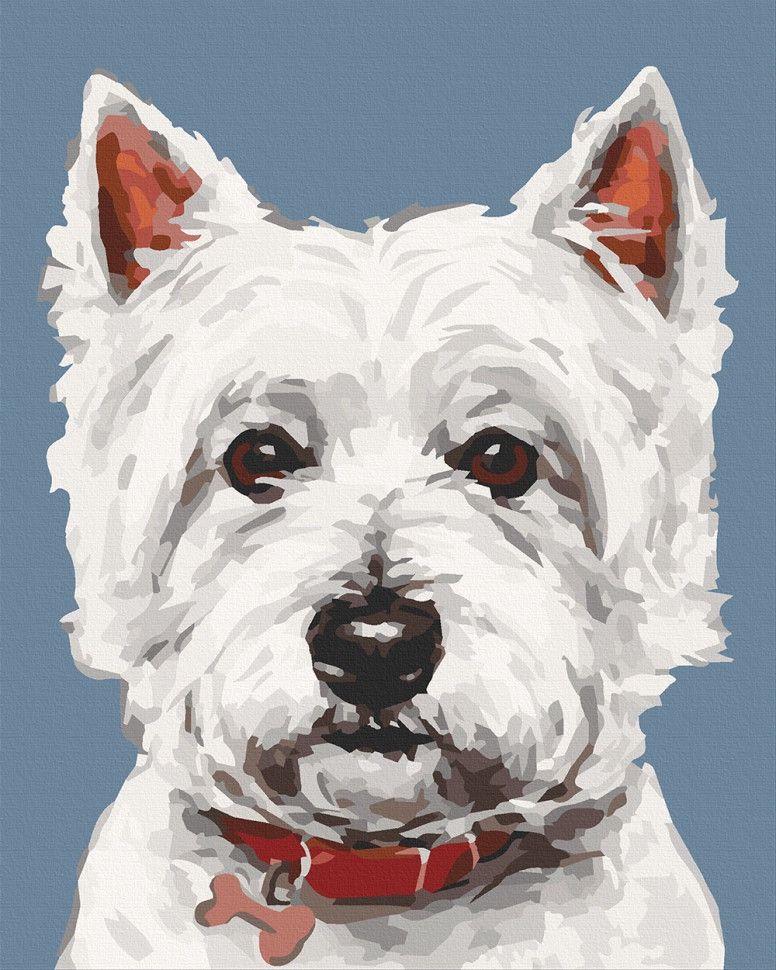 Картина по номерам Art Craft Вайт терьер 40х50 см (11652-AC)