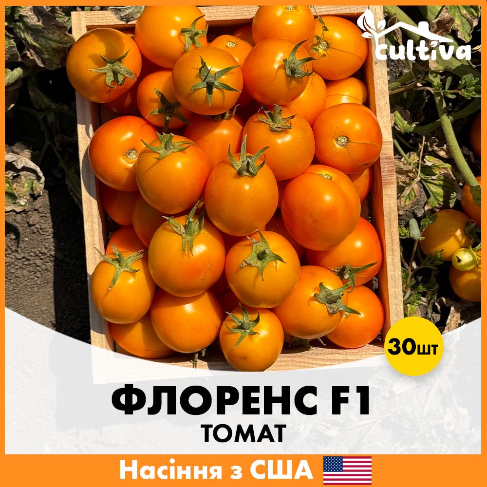 Насіння томату Libra Seeds Флоренс F1 Жовтий 30 шт. (R51117_30)