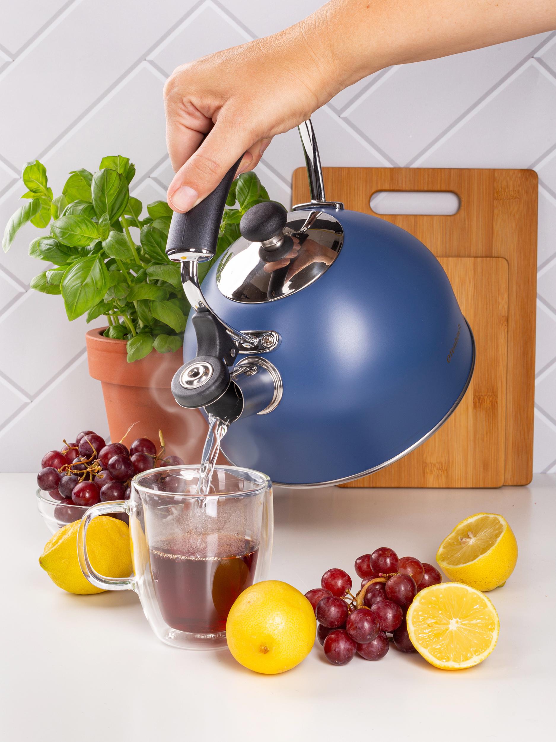 Чайник зі свистком та нейлоновою ручкою Ofenbach KM-100327 із нержавіючої сталі 2,2 л Синій (150-84-100327) - фото 7