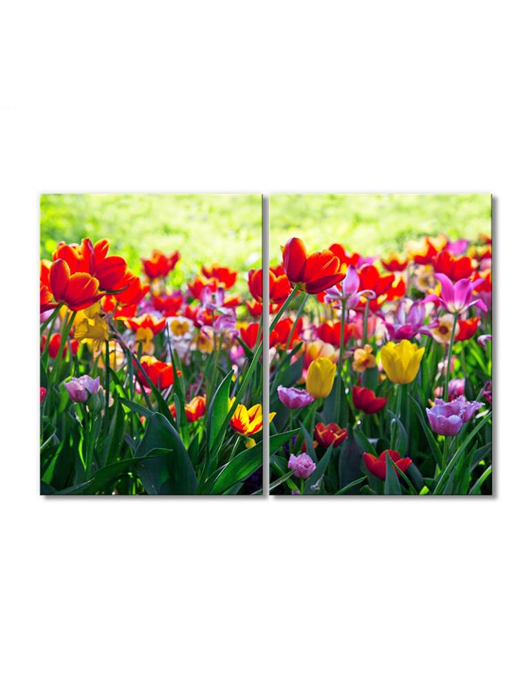 Картина модульная Поле цветных тюльпанов 2 модуля 40х60 см