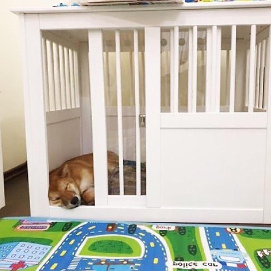 Будка для собаки из дерева Пиньйос Зефир (БДК-000620) - фото 6 Будка для собаки из дерева Пиньйос Зефир (БДК-000620) - фото 6