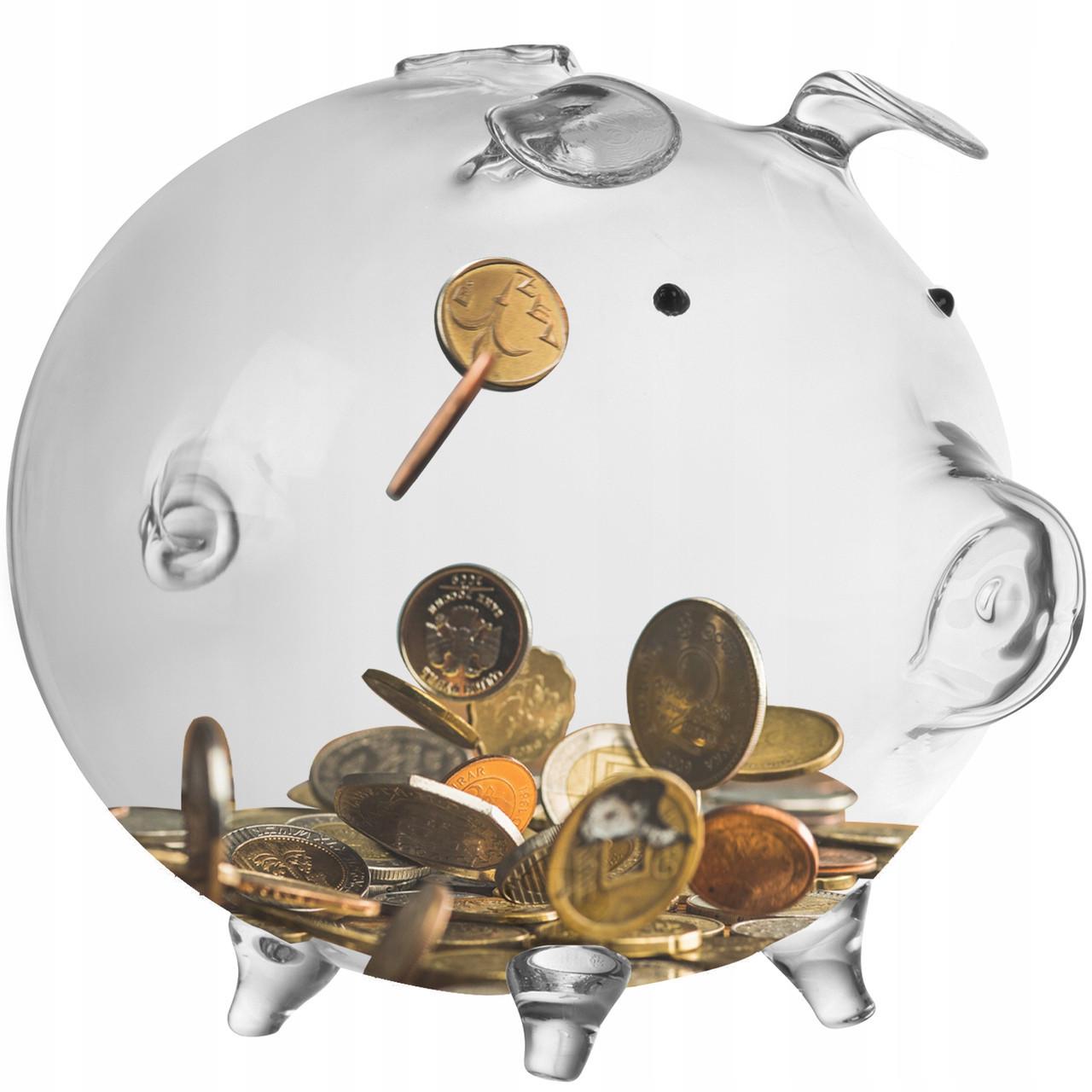 Копилка cтеклянная Ruhhy для монет в виде свиньи (22588)