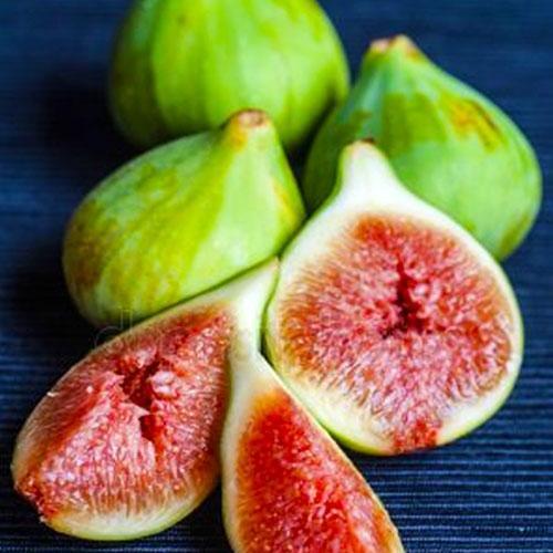 Сажанець Ексклюзив Інжир світло-зелений Смоковниця Fig tree преміальний самозапильний ремонтантний сорт (48123)