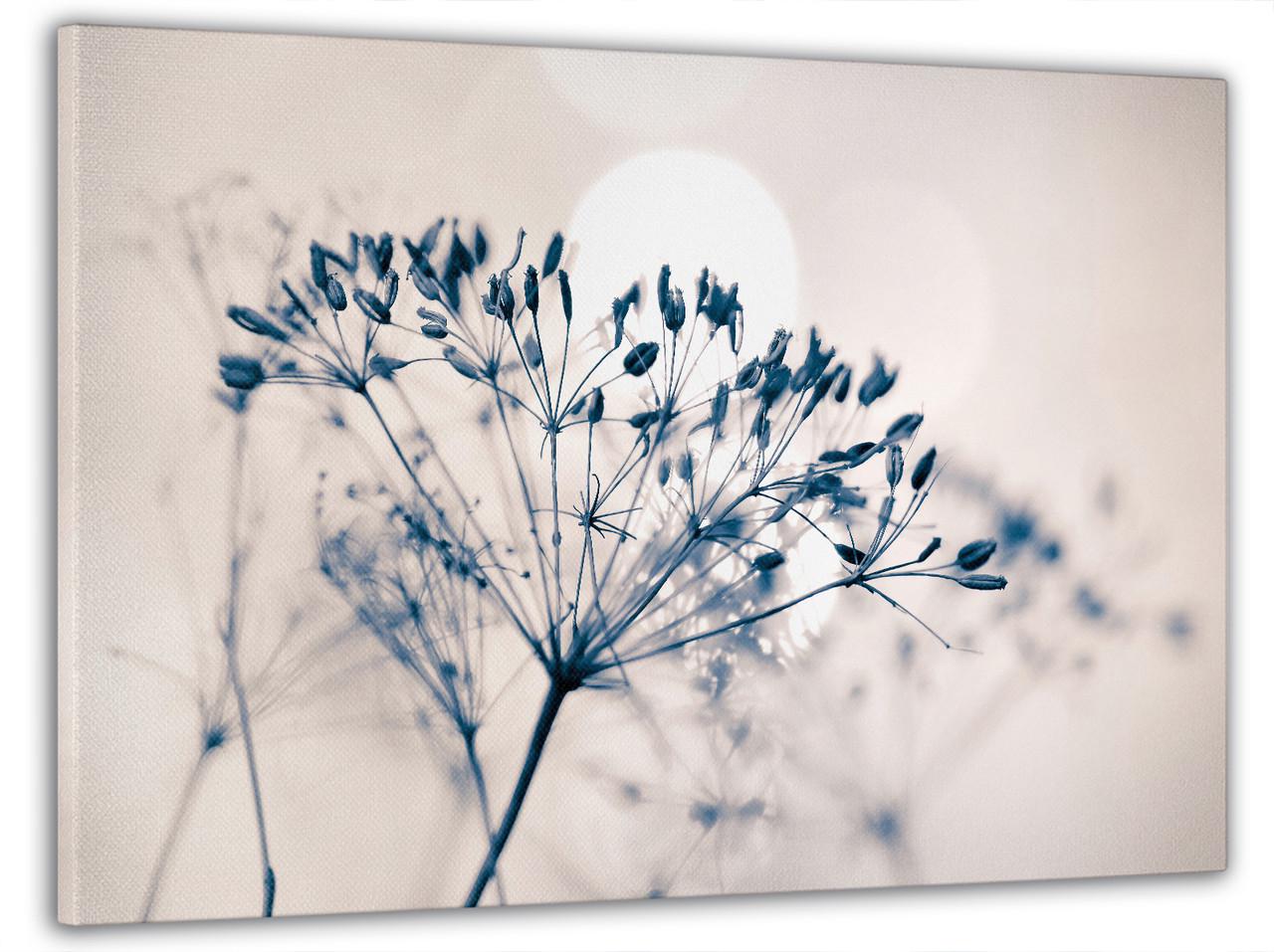 Картина на холсте DK Загадочная природа 60x100 см (MK10248_M)