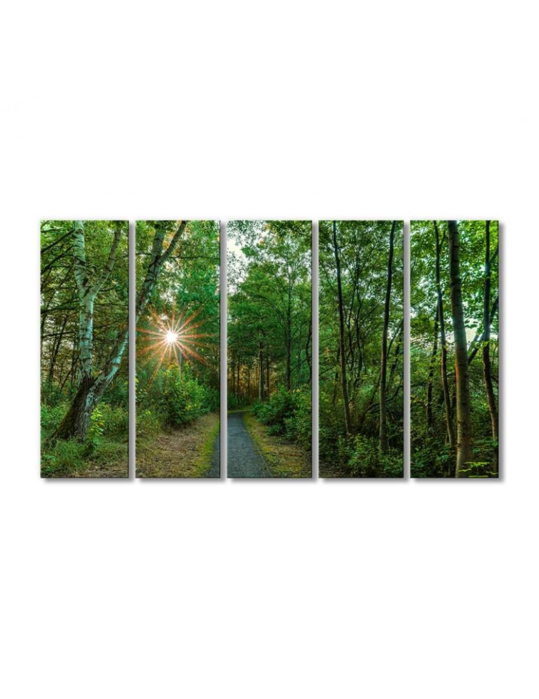 Картина модульная Путь сквозь чащу 5 модулей 120x180 см