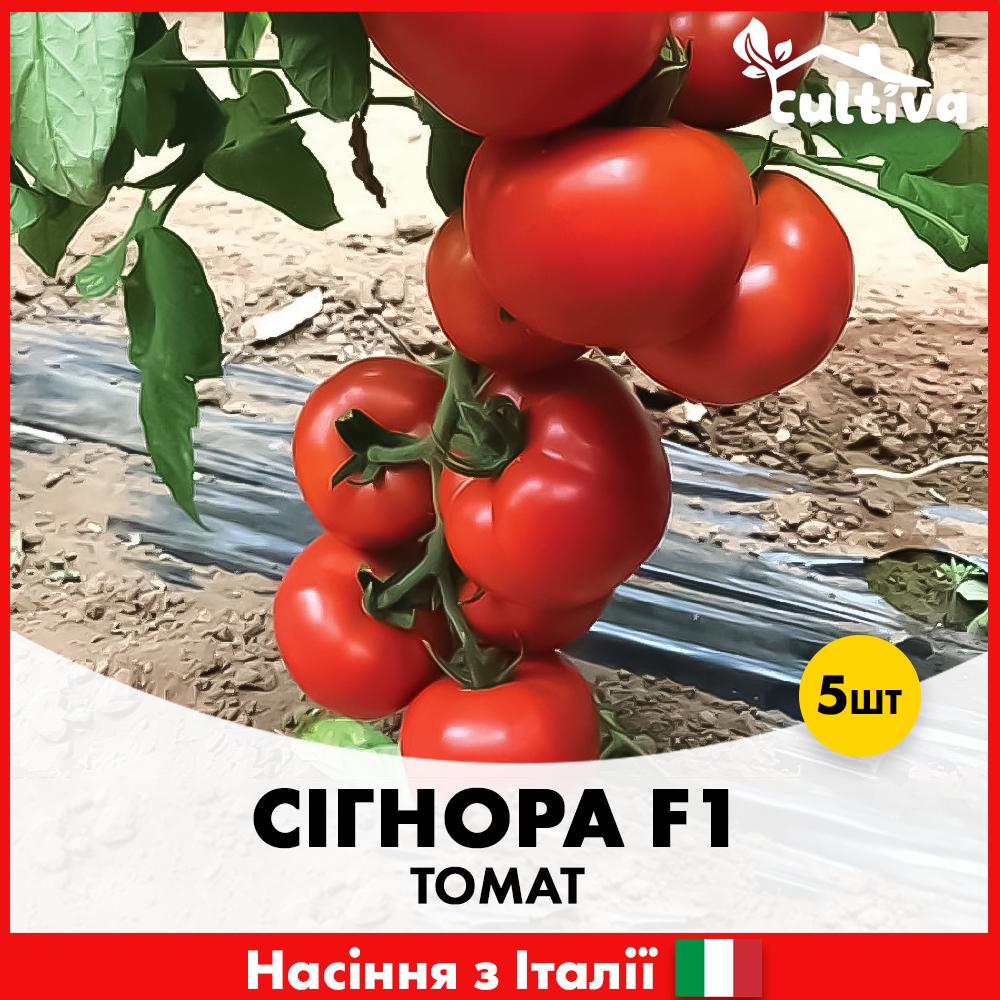 Семена томата Esasem Сигнора F1 5 шт. (R51091)