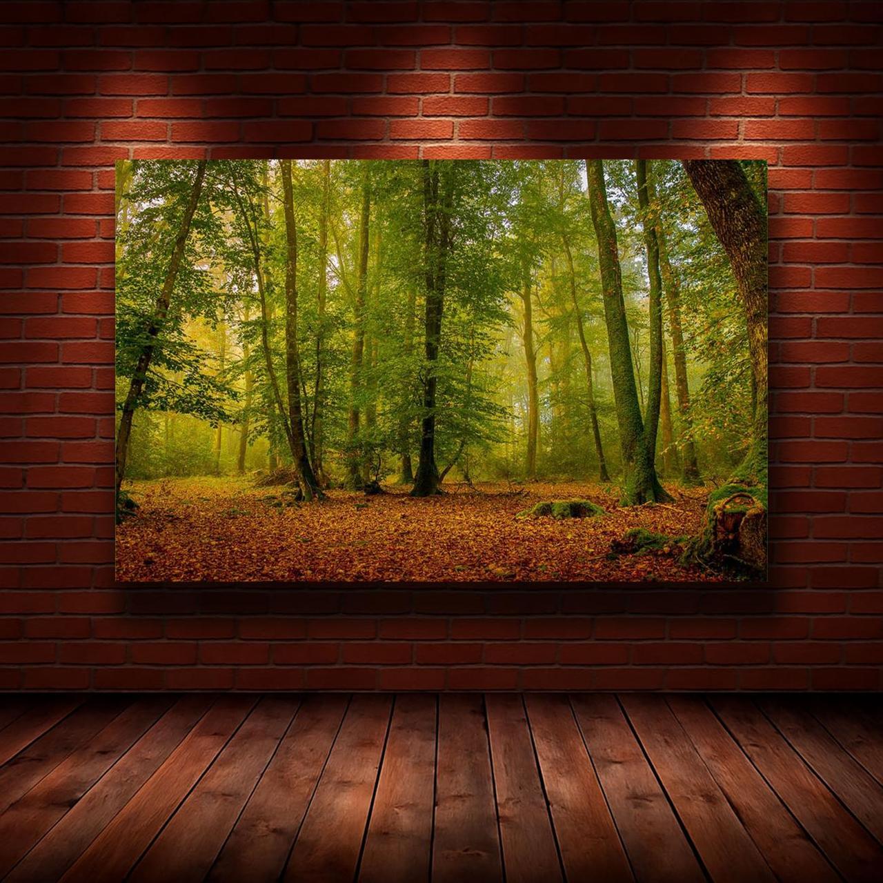 Картина на холсте Природа 50х70 см (N817)