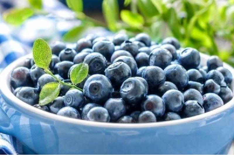 Добриво Biopon для чорниці 1 кг (70109) - фото 4 Добриво Biopon для чорниці 1 кг (70109) - фото 4