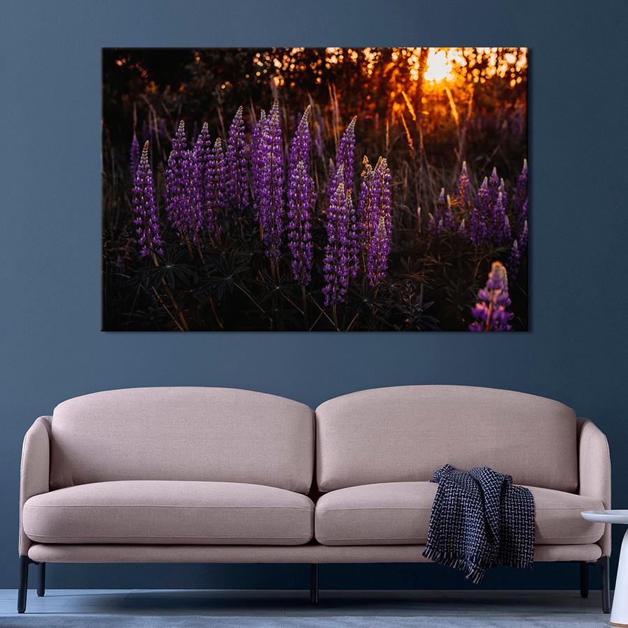 Картина цветы и растения Дикий люпин 80x54 см (A1006-1)