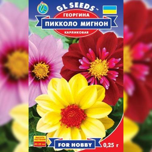 Семена Георгина Florium Пикколо Мигнон (17497) - фото 2 Семена Георгина Florium Пикколо Мигнон (17497) - фото 2