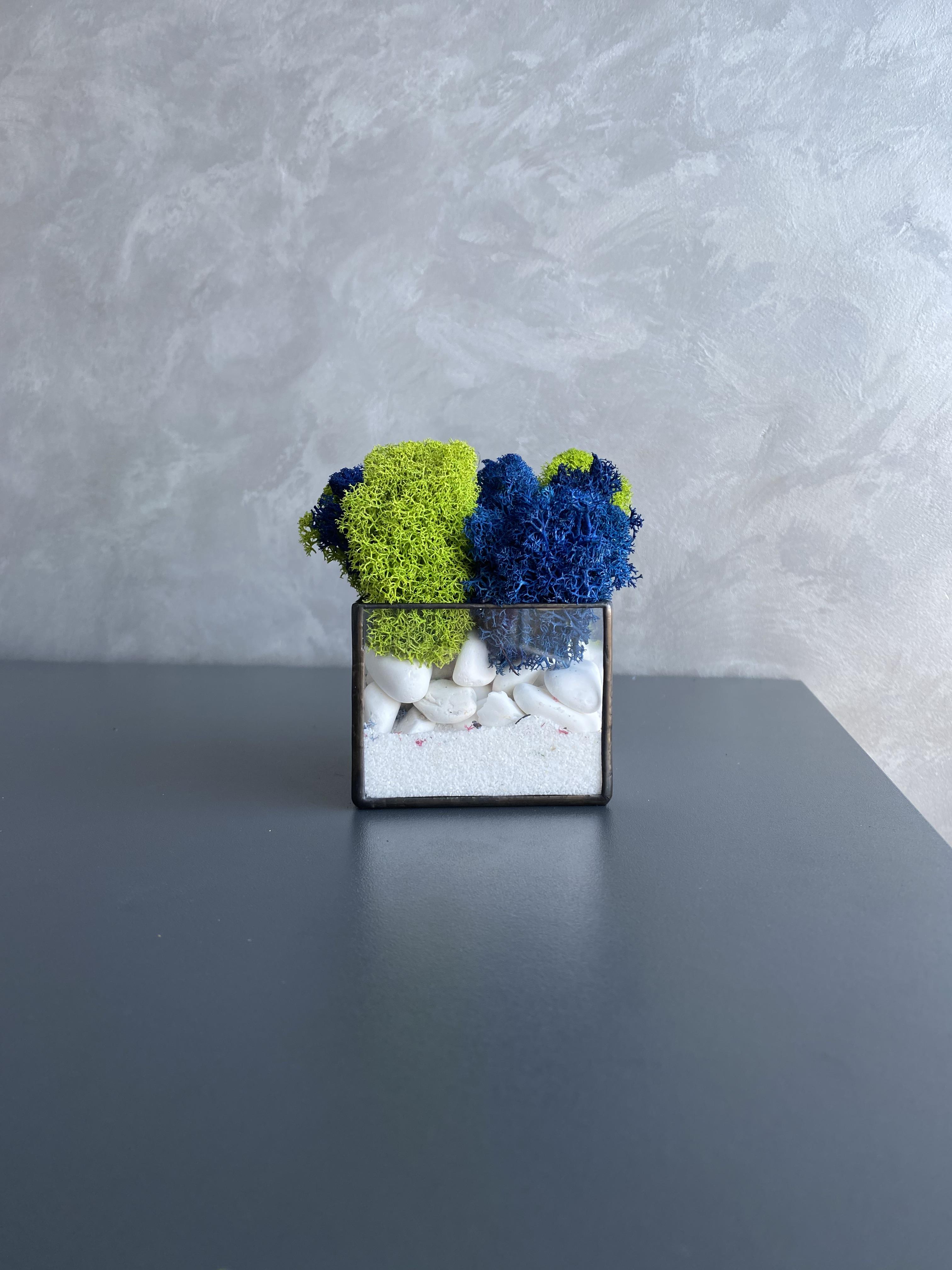 Моссариум со стабилизированным мхом (32688825)