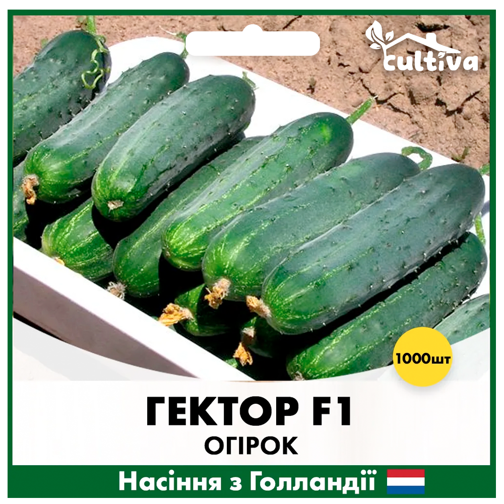 Семена огурца Nunhems Гектор F1 1000 шт. (O22)