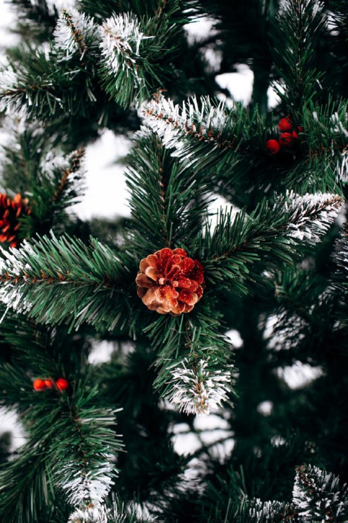 Елка зеленая с белыми кончиками и калиной 1,5 м - фото 2 Елка зеленая с белыми кончиками и калиной 1,5 м - фото 2