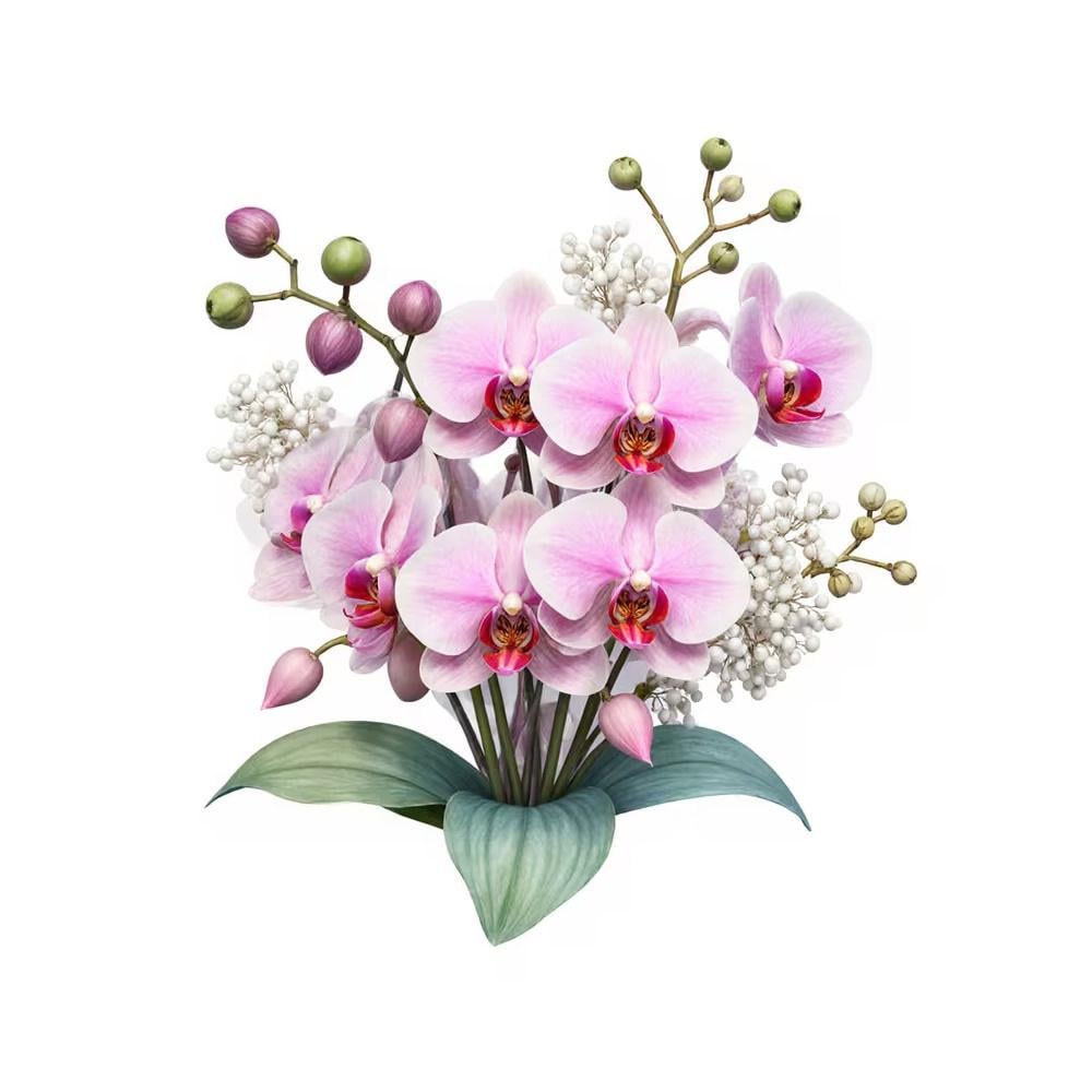Декоративная наклейка Букет орхидей фаленопсиса для автомобиля/мотоцикла/техники 12,7 см Розовый с зеленым (3000004270)
