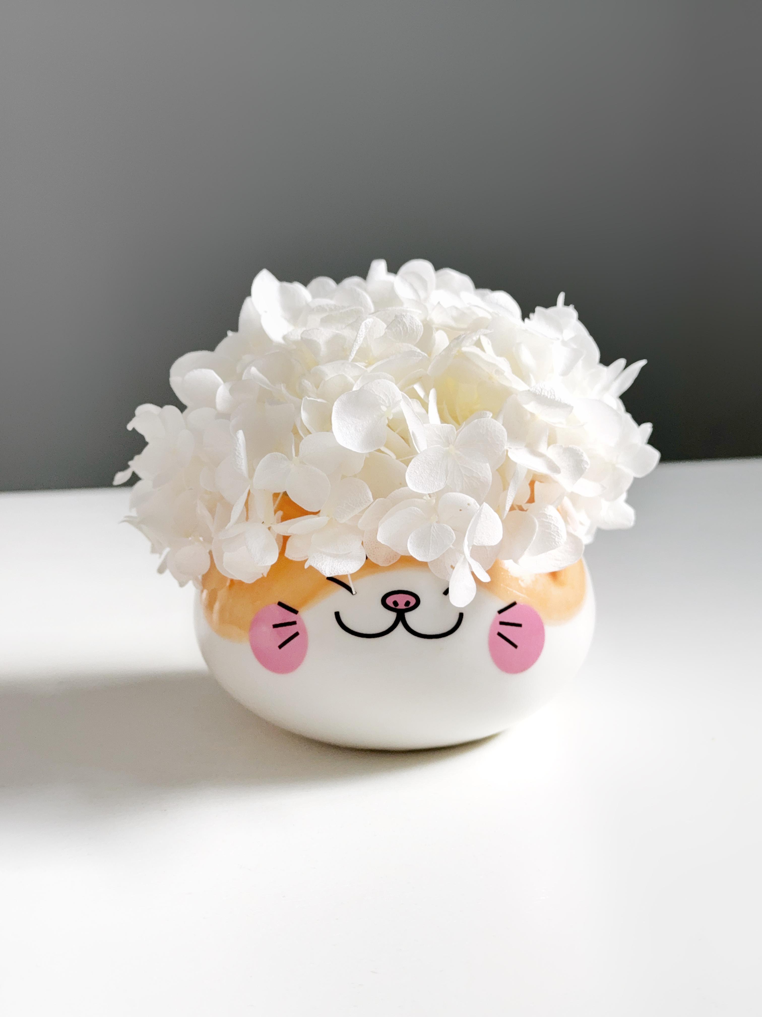 Кашпо круглый кот с белой гортензией 9х9х6 см