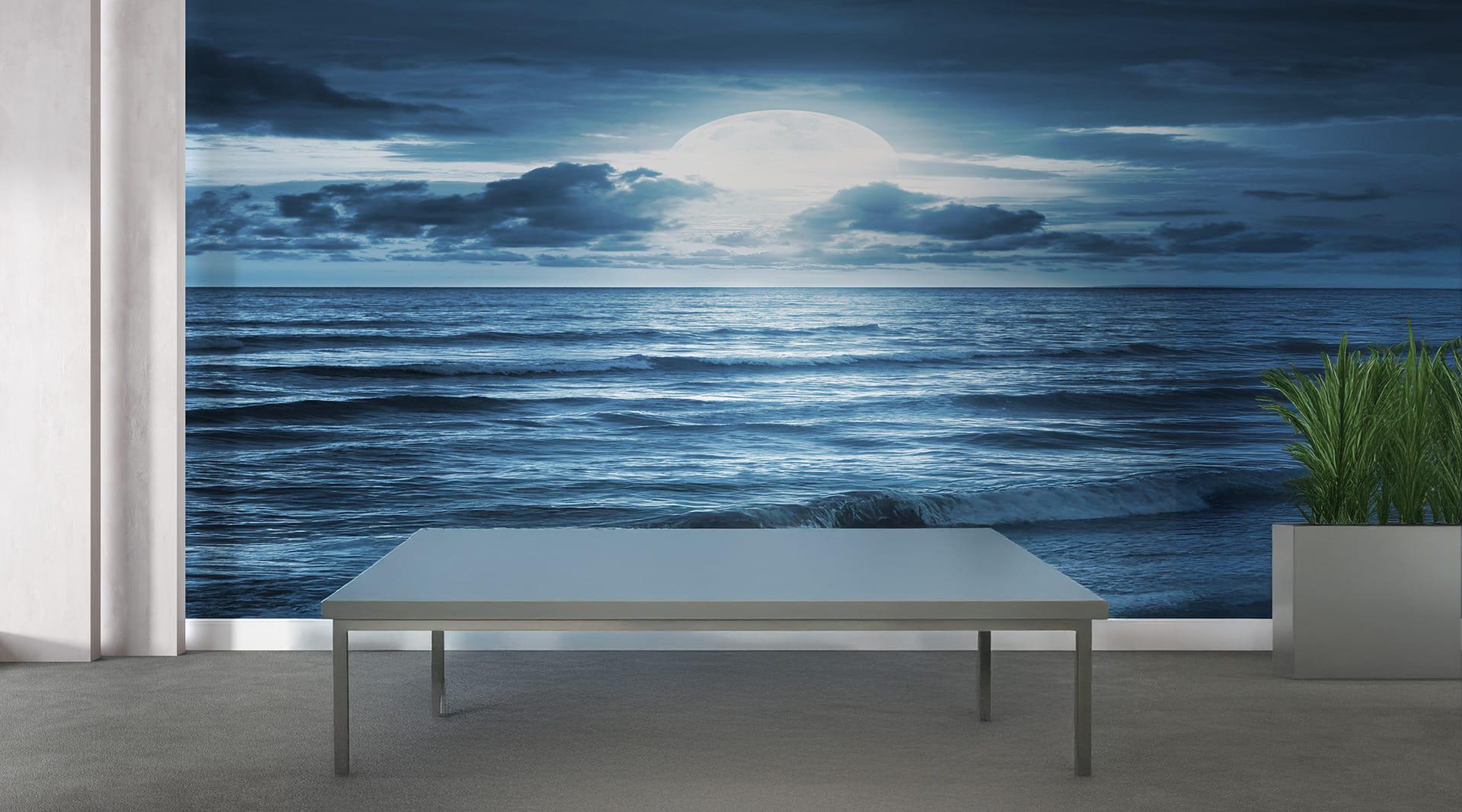 Фотообои флизелиновые Styleo Print-walls Океан в лунном сиянии 0292 300х200 см (Pw-0292)