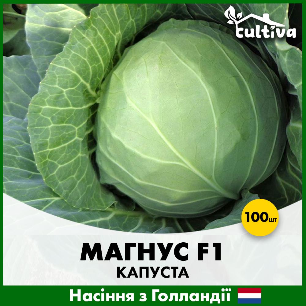 Семена капусты Hazera Белоголова Магнус F1 100 шт. (00154100)