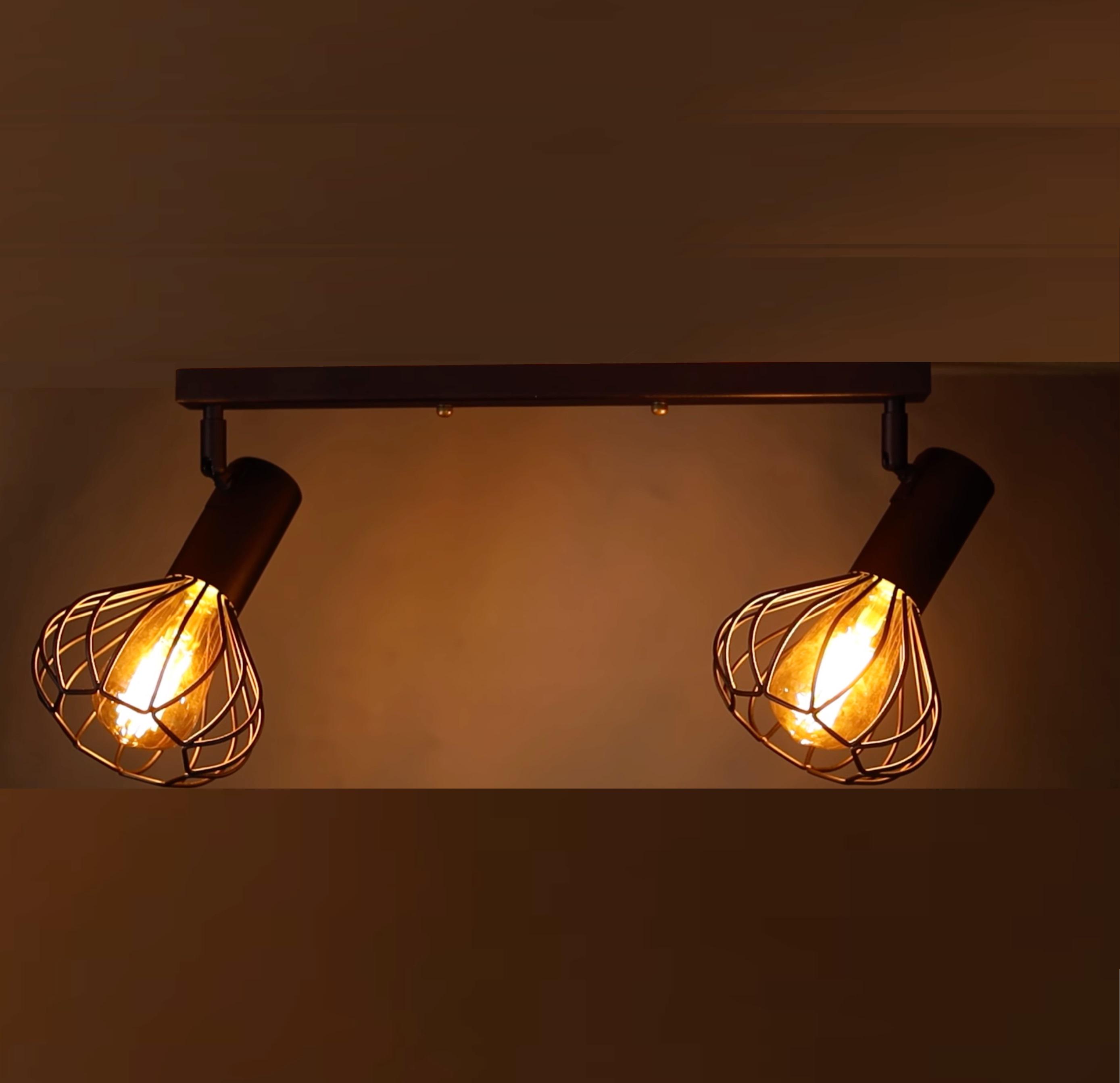 Светильник лофт настенно-потолочный MSK ELECTRIC Lotus NL 14151-2 BK - фото 2