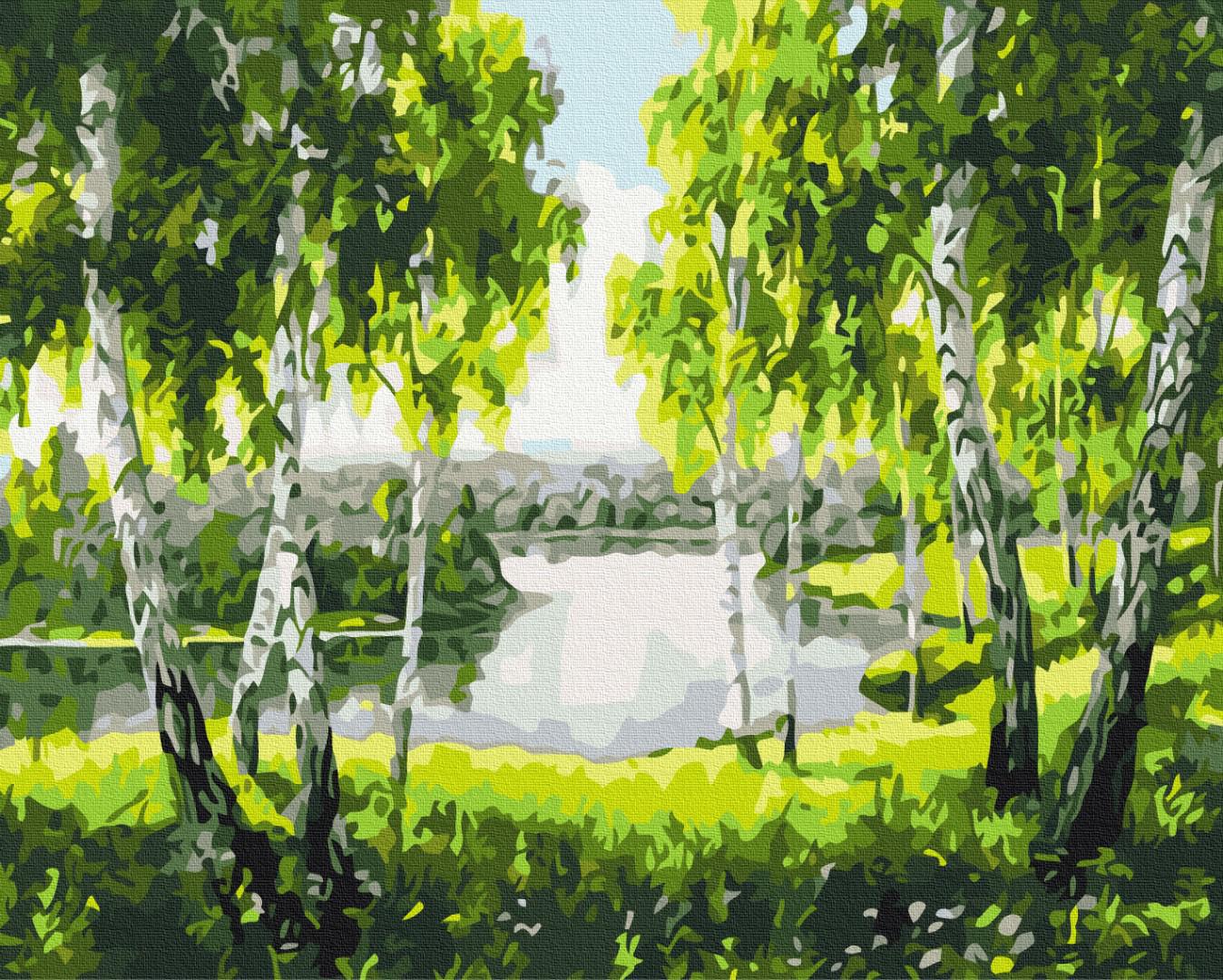 Картина по номерам Brushme Березы с детства 48x60 см (BS52205L)