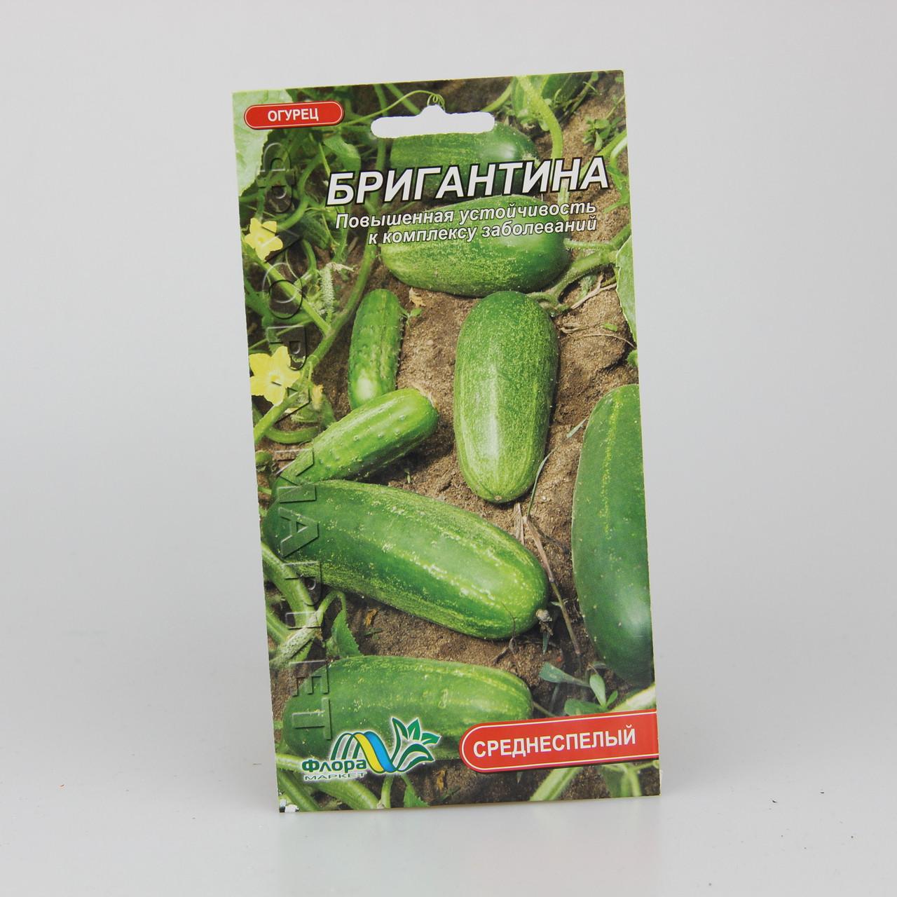 Семена огурца Бригантина среднеспелый 1 г (26302)