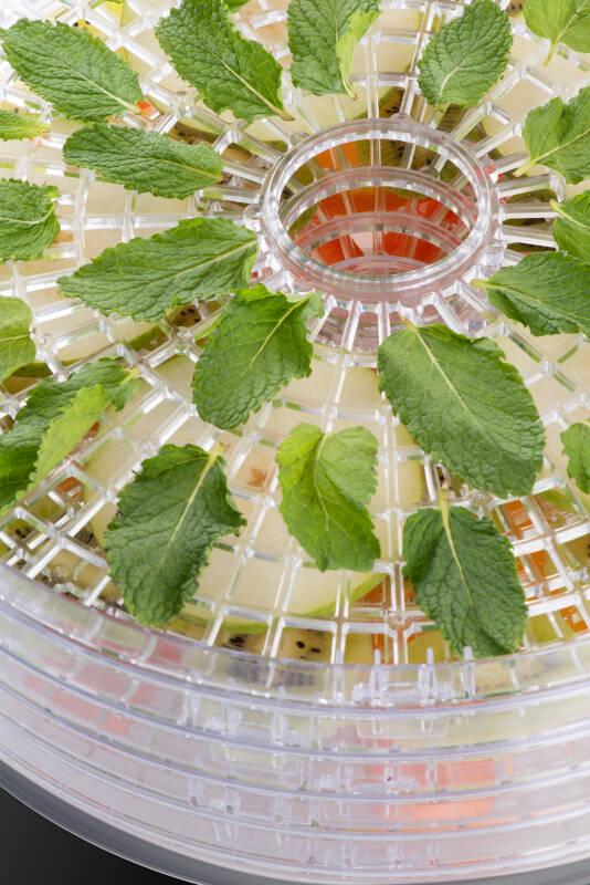 Сушилка для овощей и фруктов ETA Secca Plus 8301 90000 (ETA830190000) - фото 10 Сушилка для овощей и фруктов ETA Secca Plus 8301 90000 (ETA830190000) - фото 10