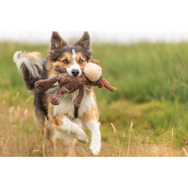 Іграшка Trixie Лось для собак 36 см - фото 2 Іграшка Trixie Лось для собак 36 см - фото 2