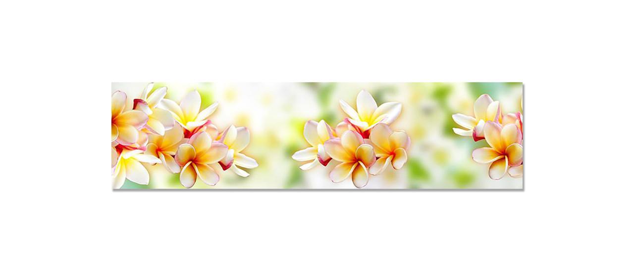 Наклейка виниловая на кухню Zatarga Гавайские Леи 650х2500 мм (1294193502)