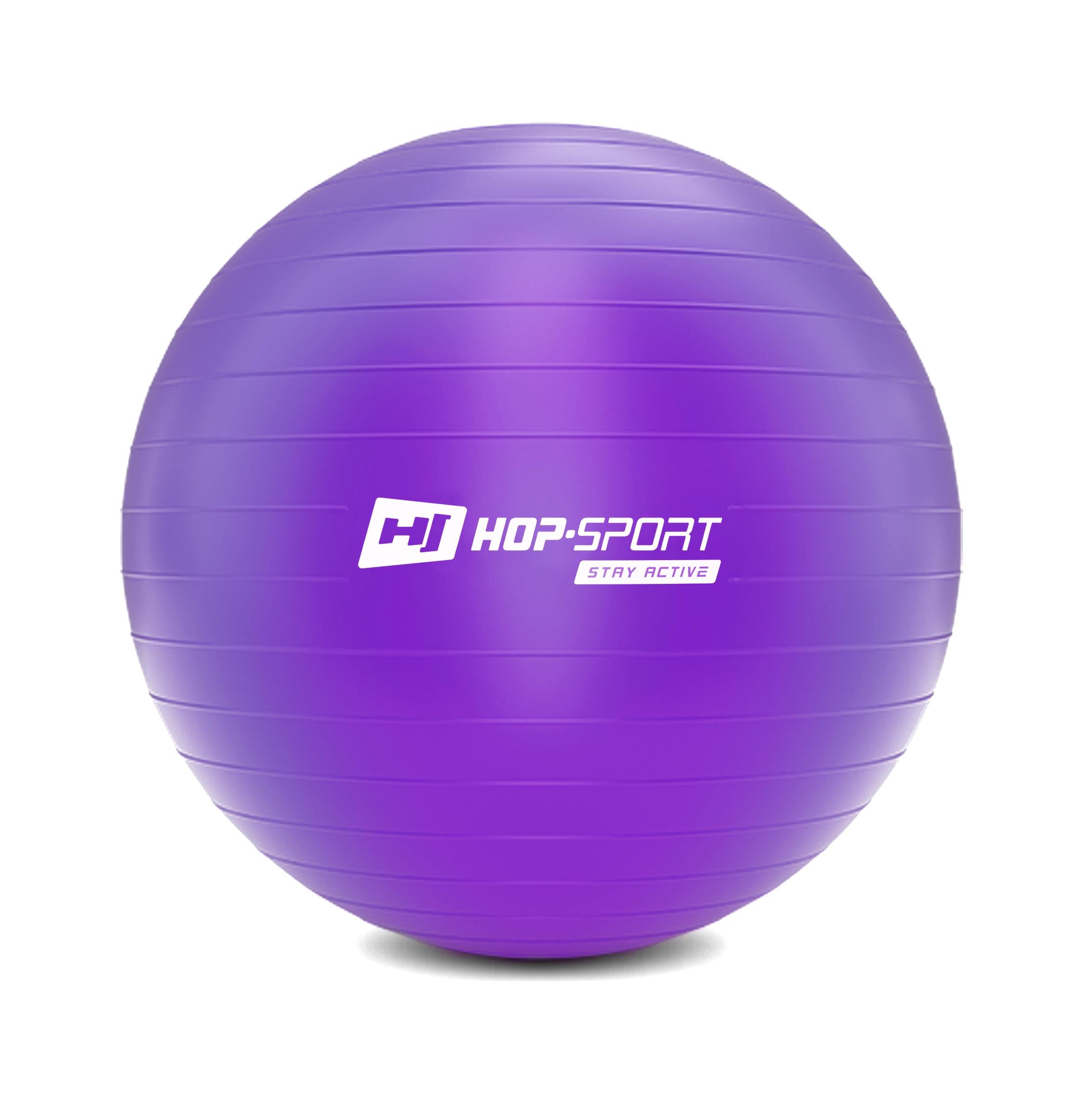 Фитбол + насос Hop-Sport 2020 65 см Фиолетовый