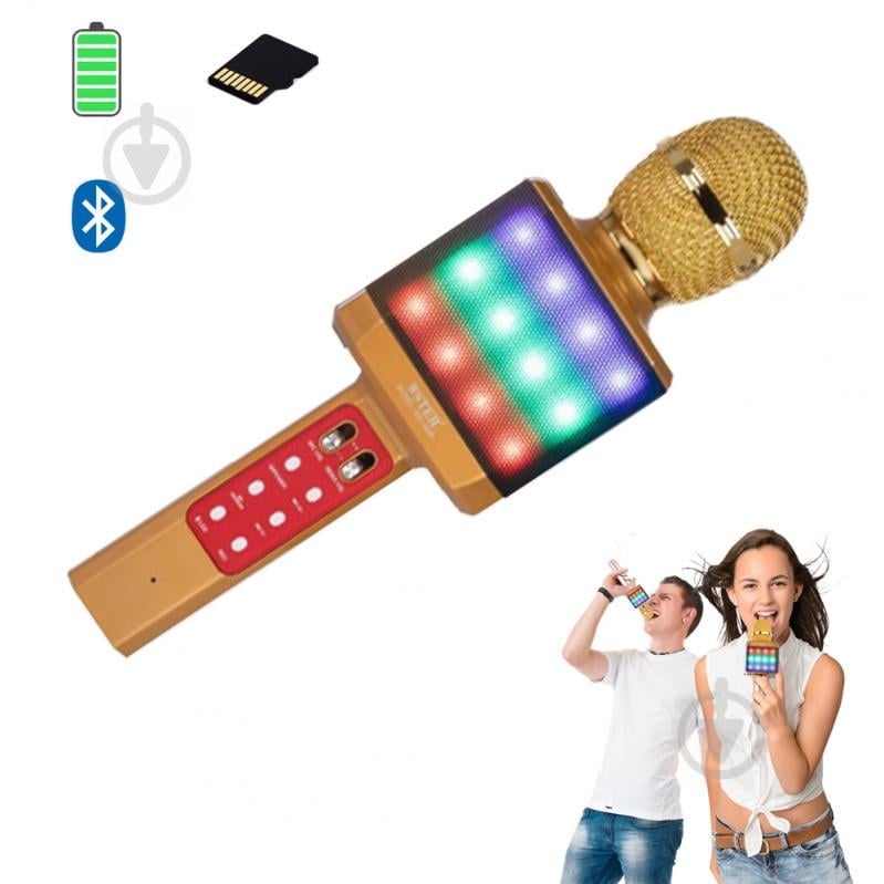 Микрофон-караоке беспроводной WSTER WS-1828 White с функцией изменением голоса Золотой Микрофон-караоке беспроводной WSTER WS-1828 White с функцией изменением голоса Золотой