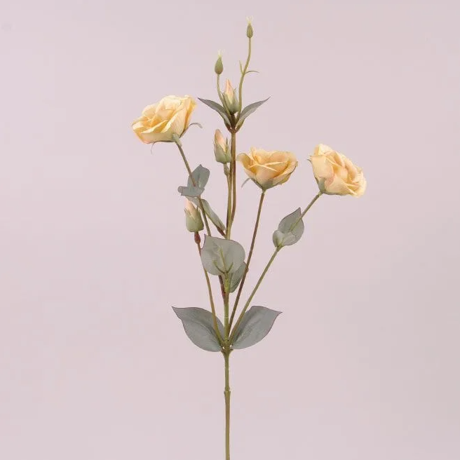 Квітка Еустома Flora Жовтий (73049)
