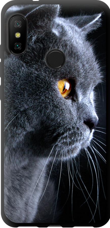 Чехол на Xiaomi Redmi 6 Pro Красивый кот (3038b-1595-42517)