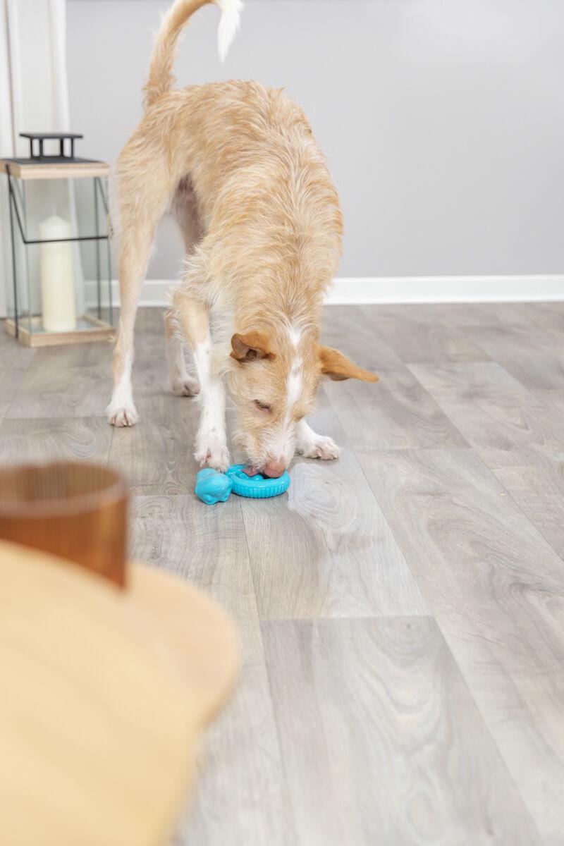 Іграшка Trixie для ласощів змійка для собак 18 см (TX-34950) - фото 8 Іграшка Trixie для ласощів змійка для собак 18 см (TX-34950) - фото 8