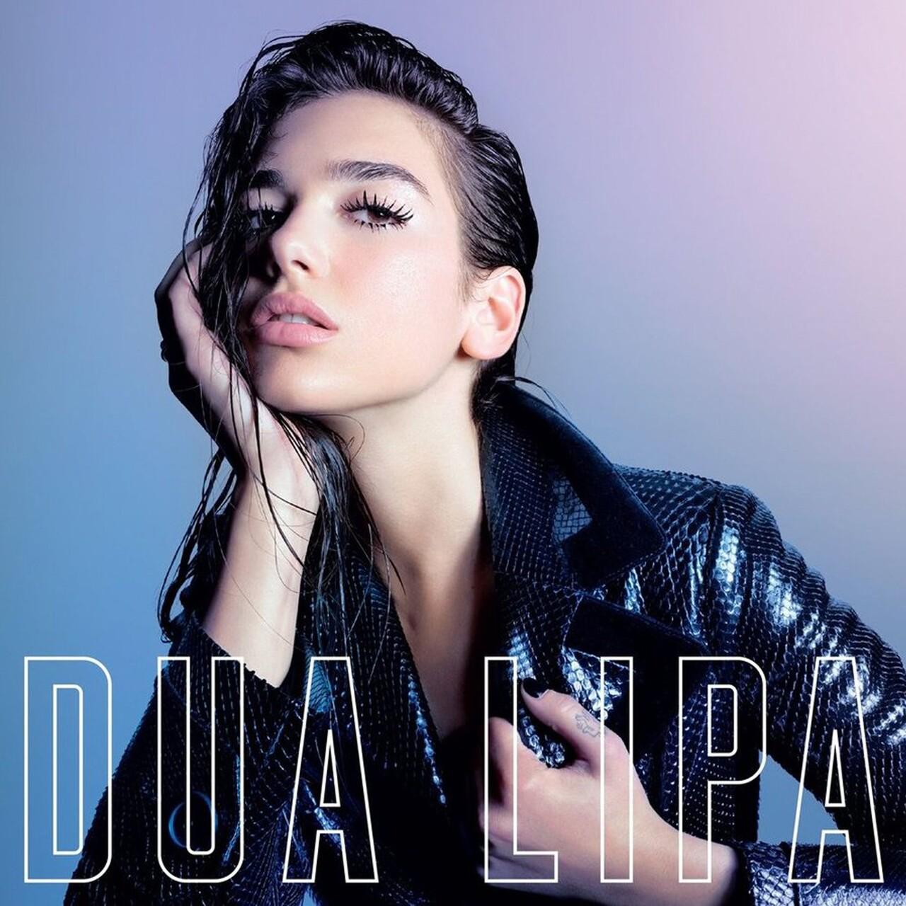 Виниловая пластинка Dua Lipa - Dua Lipa LP (25491598)