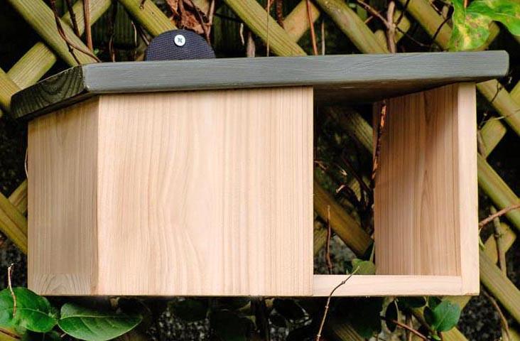 Гніздування для птахів з дерева Глухар Бланже/Венге (ГНЗ-00150112) - фото 2 Гніздування для птахів з дерева Глухар Бланже/Венге (ГНЗ-00150112) - фото 2