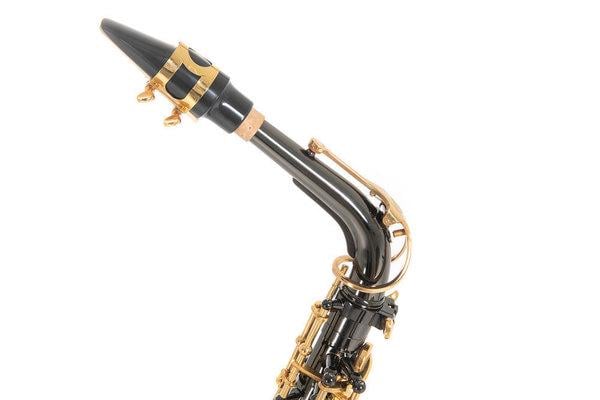 Саксофон Roy Benson AS-202K - фото 2 Саксофон Roy Benson AS-202K - фото 2