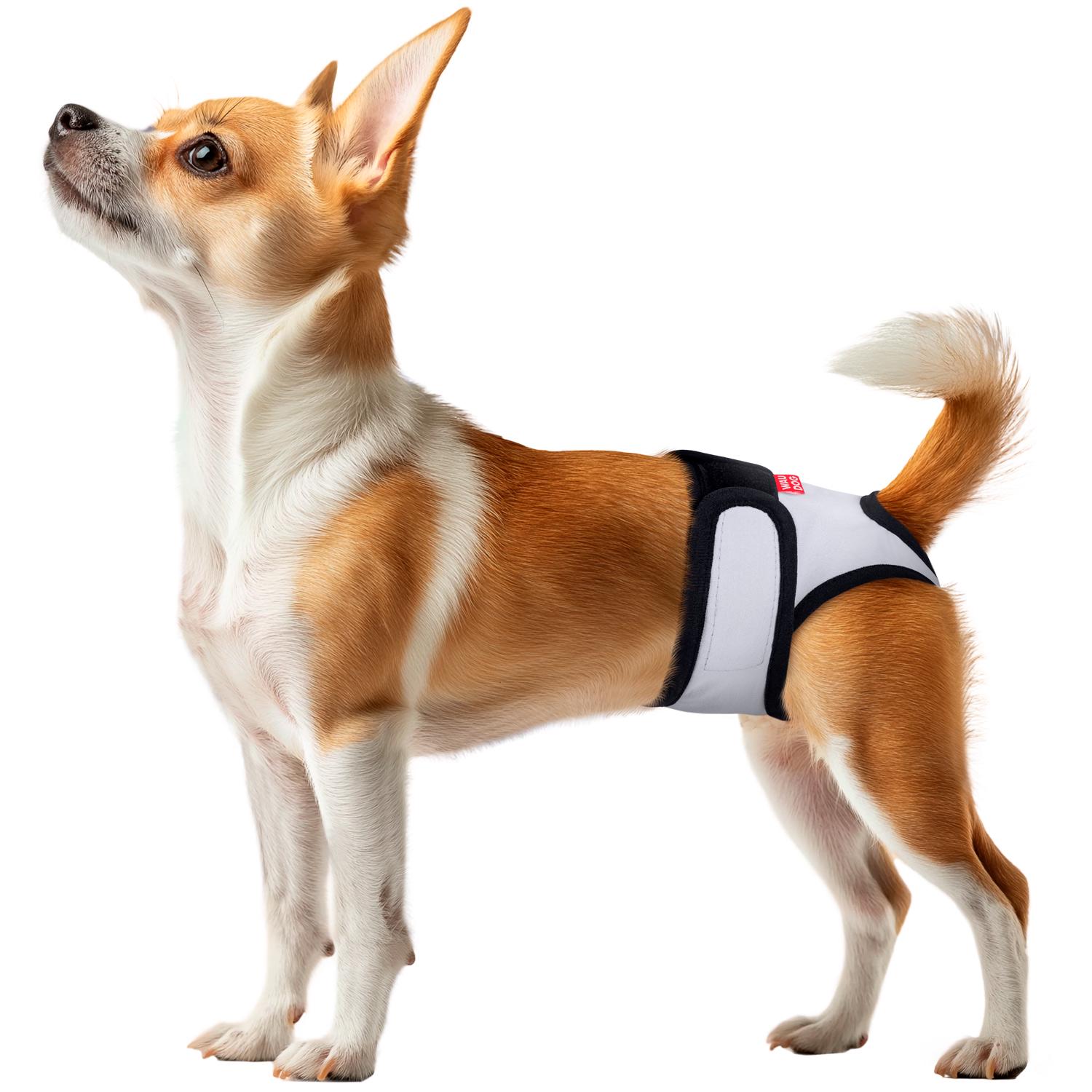 Труси гігієнічні для котів та собак Waudog Vet на липучках XXS Сірий (2495453425) - фото 3