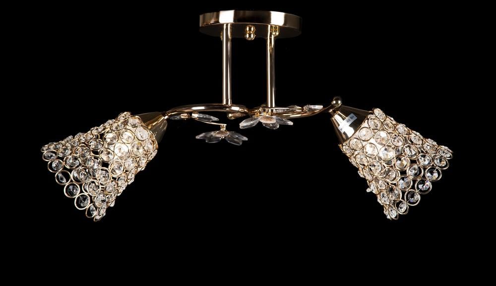 Люстра с плафонами Ray LK2302/2 FGD (IR006112)