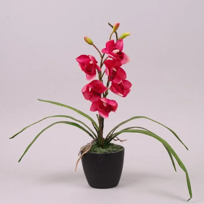 Декорация цимбидиум Flora Малиновый (7345)