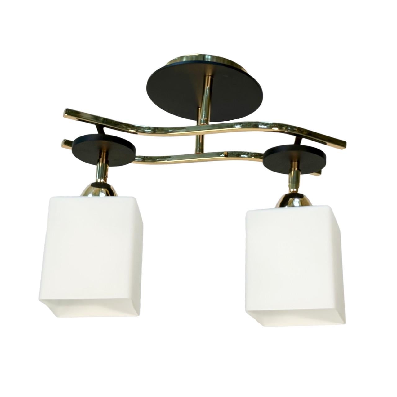 Люстра Svet 4420/2 (2579163804)