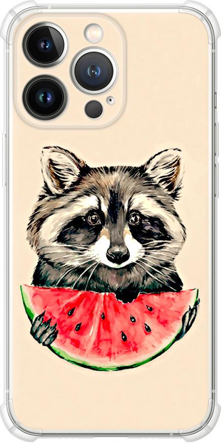 Чехол на iPhone 13 Pro Енотик с арбузом (4605sp-2372-42517) Чехол на iPhone 13 Pro Енотик с арбузом (4605sp-2372-42517)
