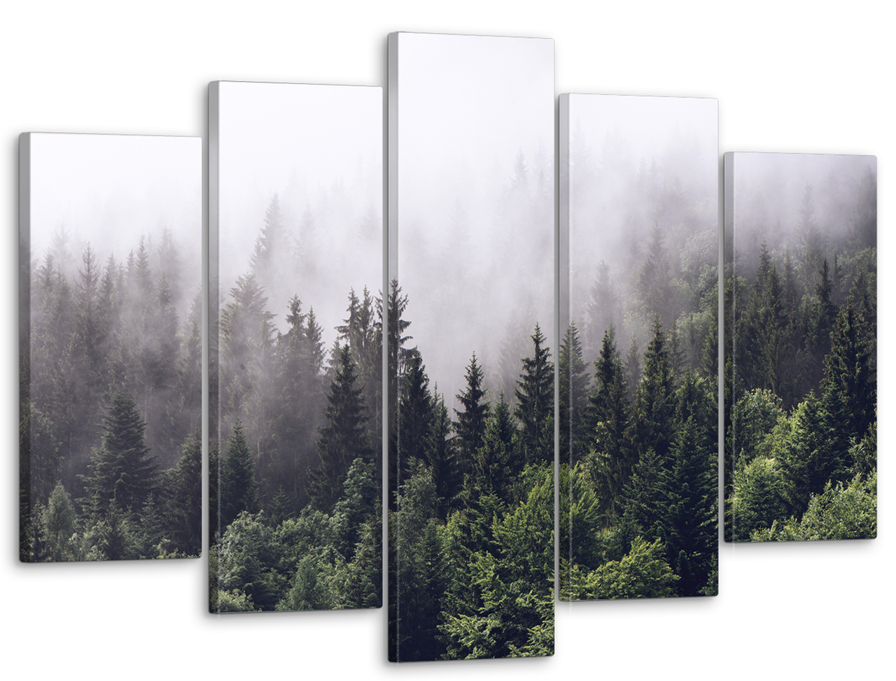 Картина модульная на холсте DK Туманный лес 80x125 см (MK50099)