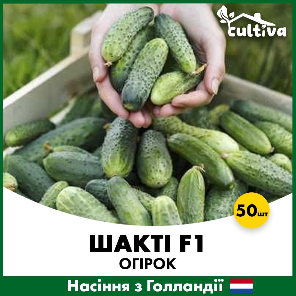 Насіння огірка Rijk Zwaan Шакті F1 50 шт. (50STO)