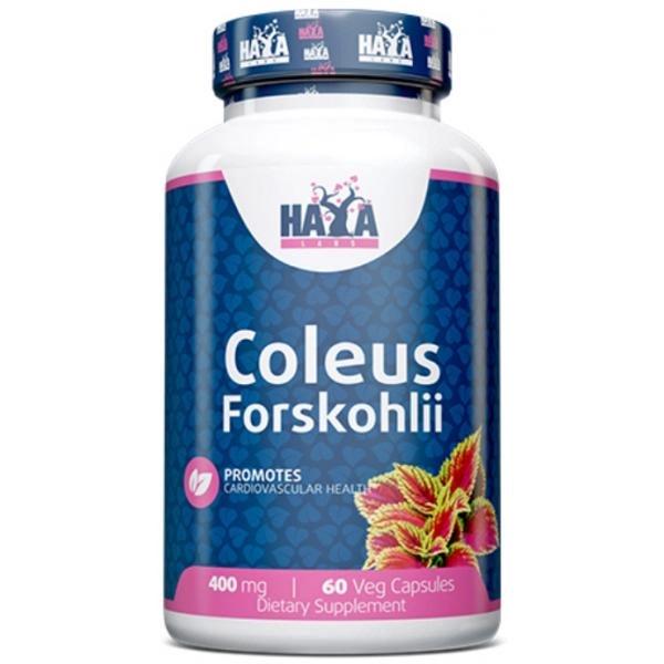 Экстракт для похудения Haya Labs Coleus Forskohlii 400 мг 60 веганских капсул (000020326)