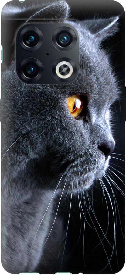 Чехол на OnePlus 10 Pro Красивый кот (3038u-2588-42517)