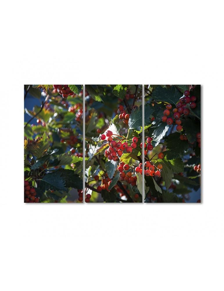 Картина модульная Рябина 3 модуля 70x105 см