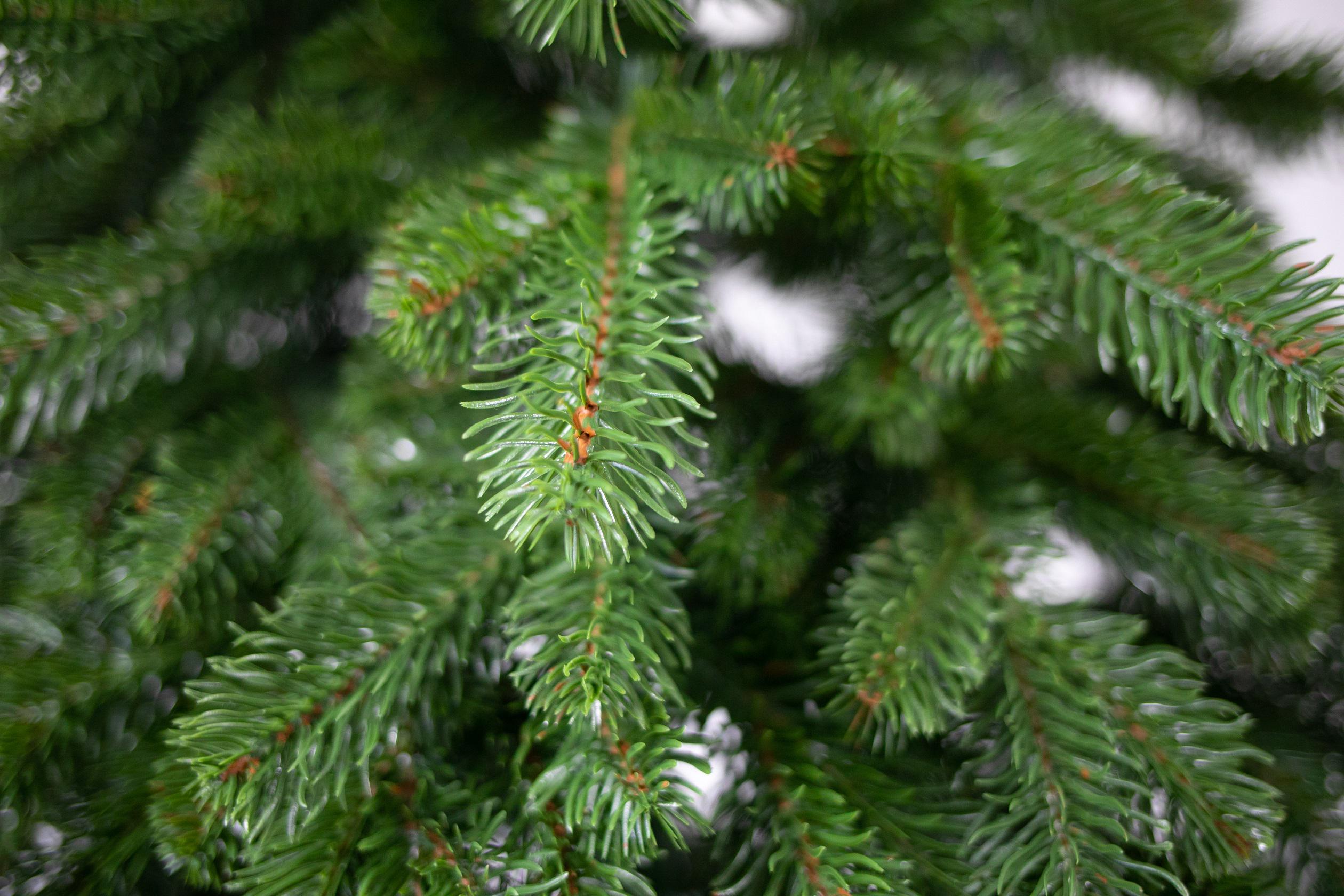 Ялинка штучна лита VIP EverLume 180 см - фото 2 Ялинка штучна лита VIP EverLume 180 см - фото 2