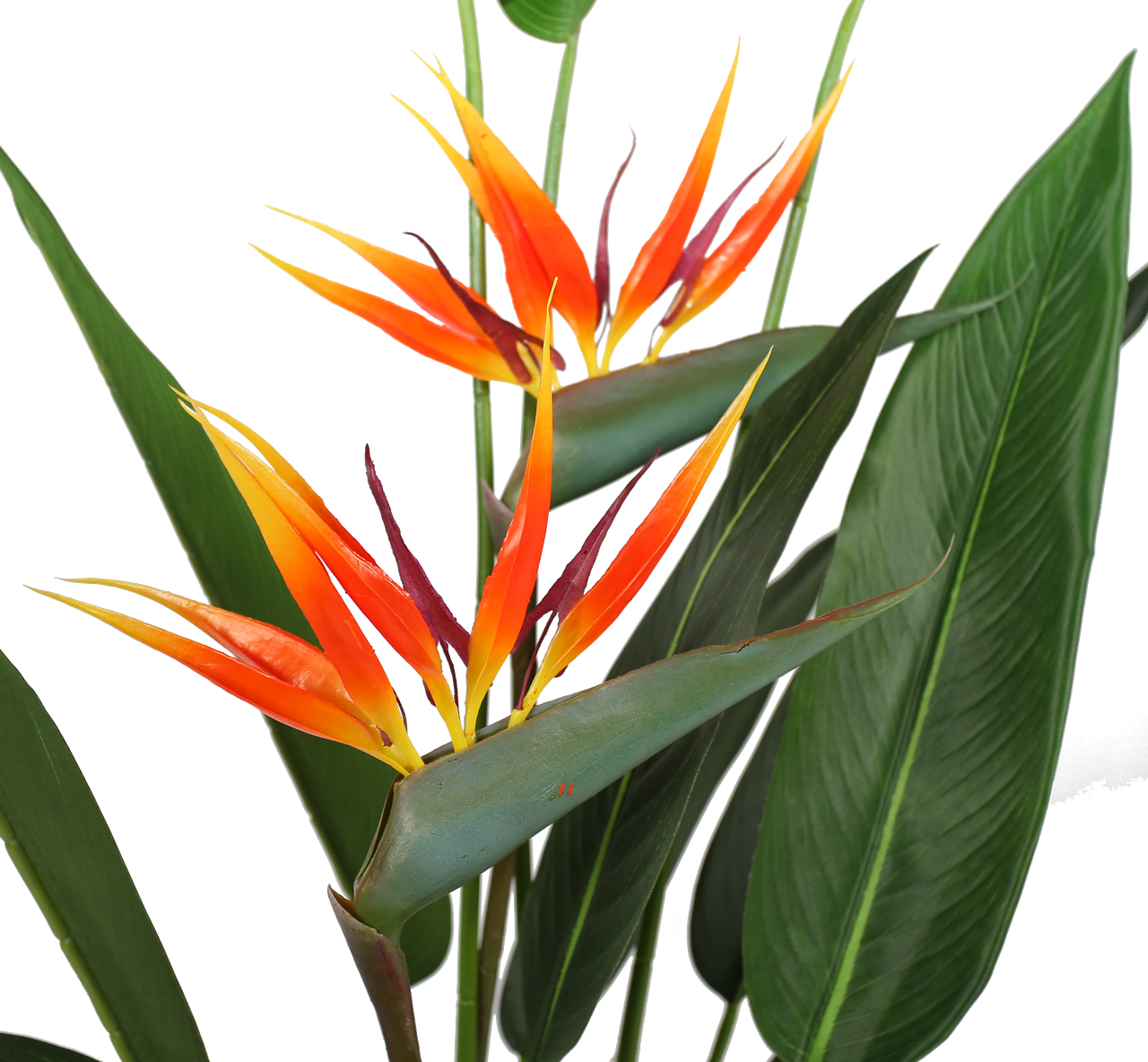 Искусственное растение Engard Strelitzia 140 см (DW-09)