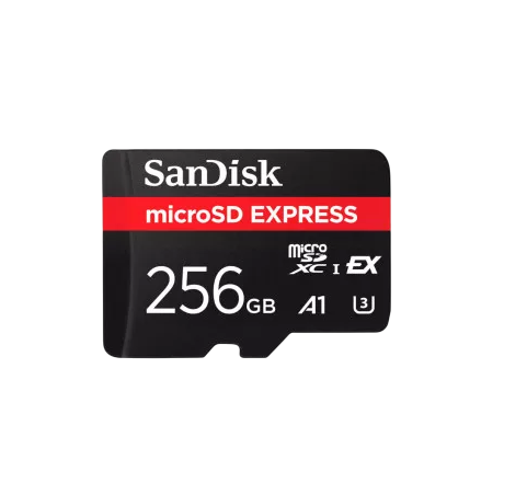 Карта пам'яті SanDisk Express 256 Gb Memory Card (SDSQXFN-256G-GN4NN)