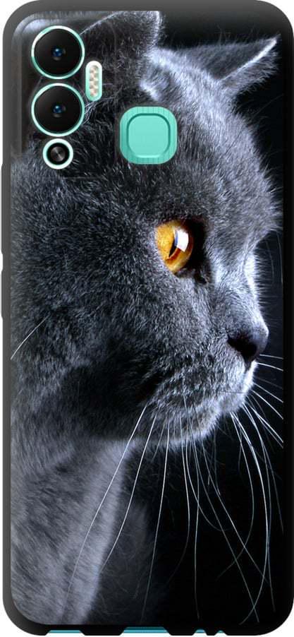 Чехол на Infinix Hot 12 Play Красивый кот (3038b-2759-42517)